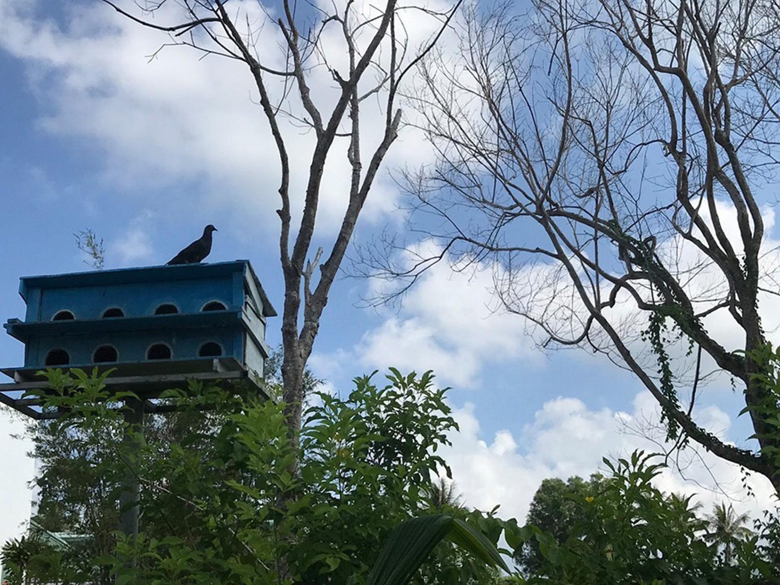 Countryside Phu Quoc Resort Экстерьер фото